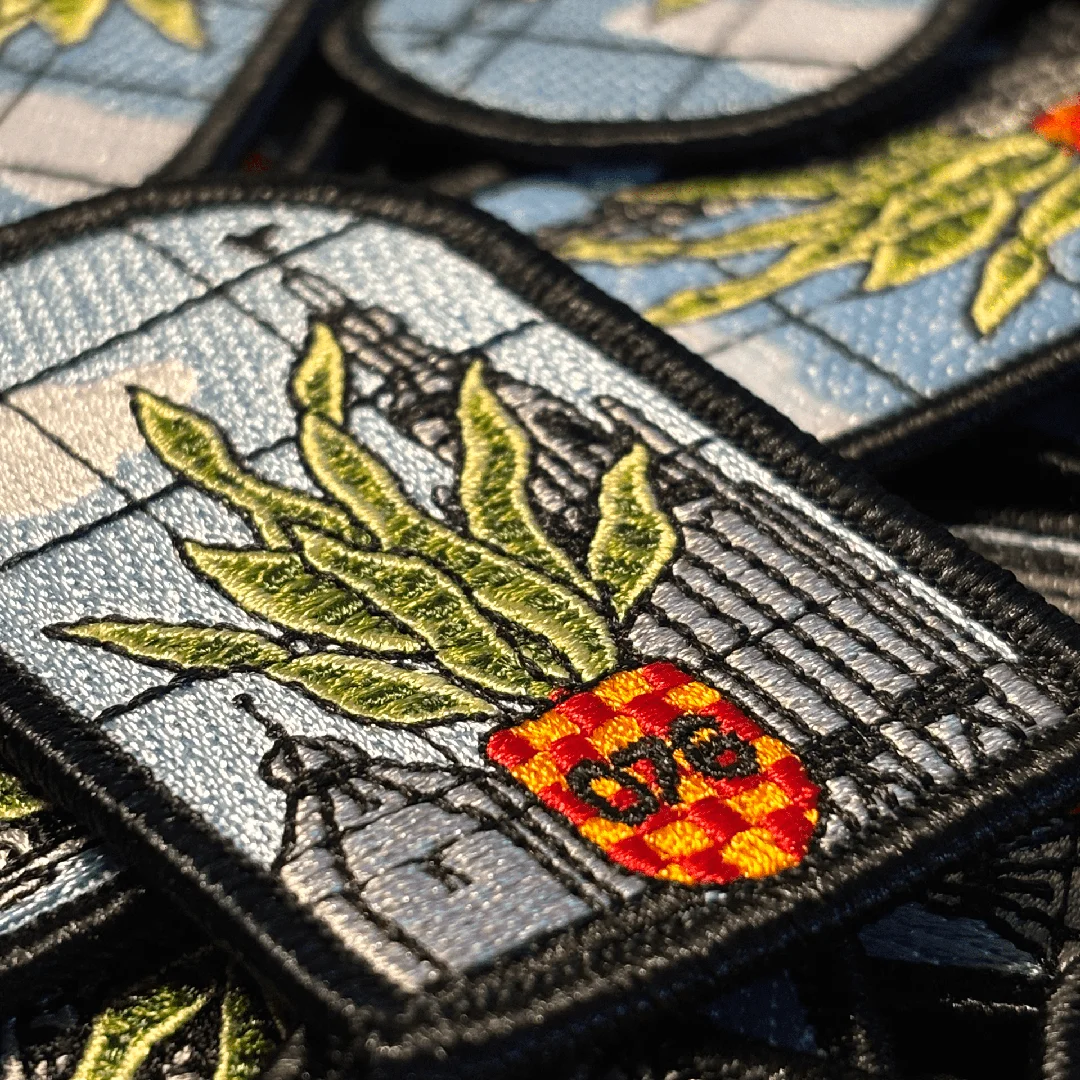 Sanseveria voor 't raam - Sanseveriaembleemkerkbreda 1 - IN041-11